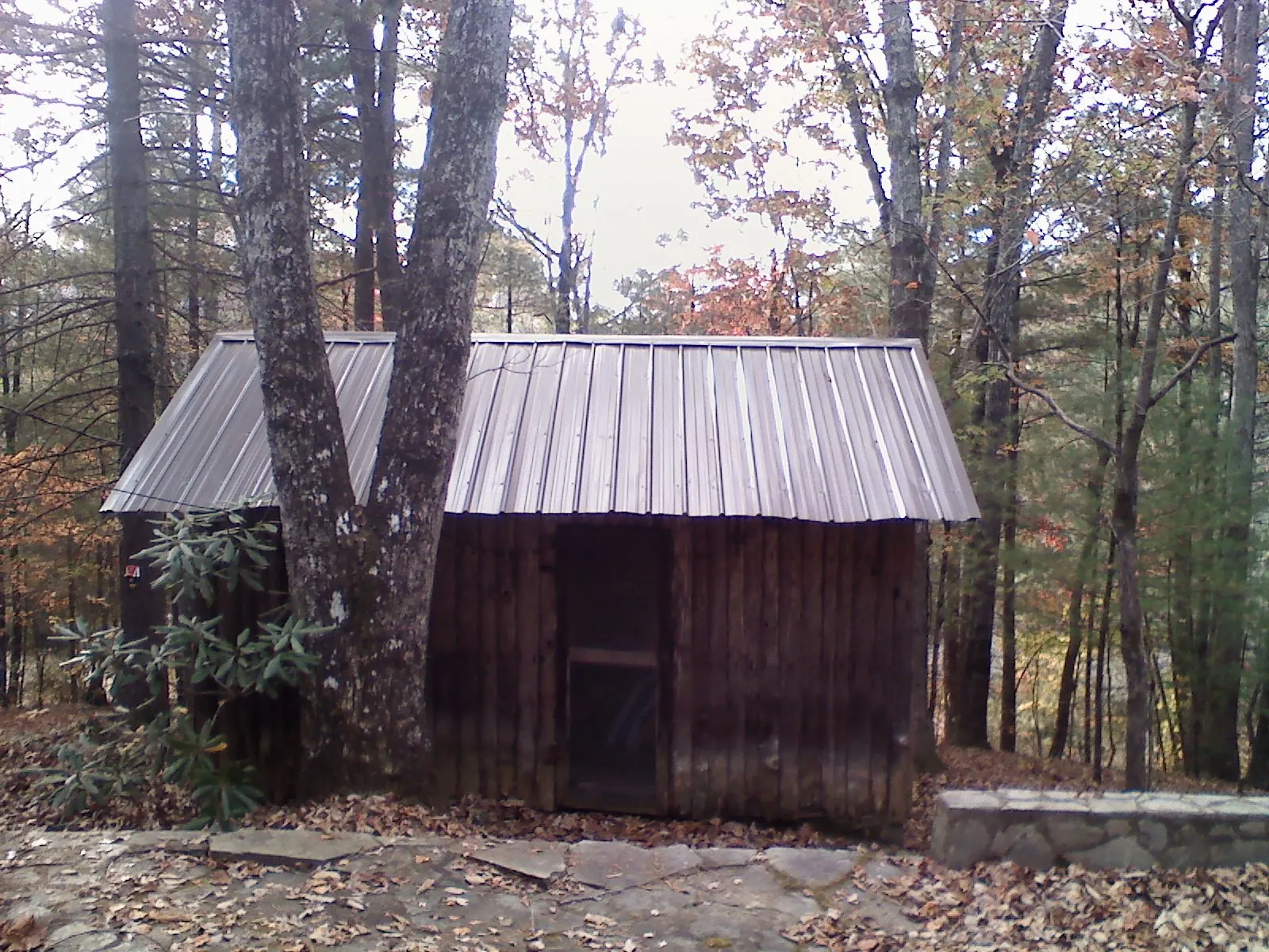 New metal gable roof on a small log shed among the trees in Maywood
